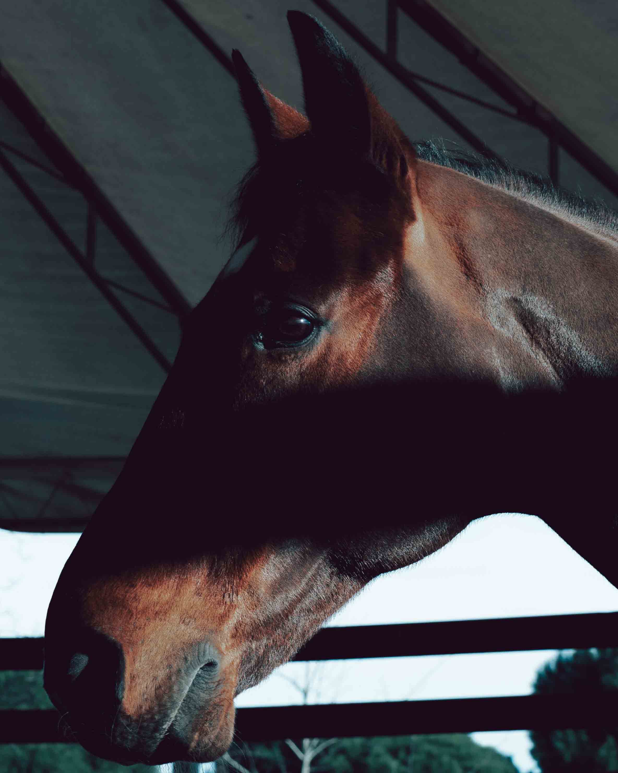 vibram fivefingers image 3